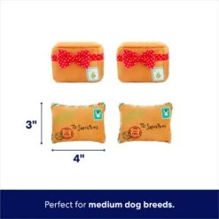 Frisco Holiday Hot Cocoa Hide & Seek Puzzle Plush Squeaky Dog Toy & Frisco Holiday North Pole Mailbox Hide & Seek Puzzle Plush Squeaky Dog Toy -Pet Dog Supplies Store 986166 PT7. AC SS1800 V1698258463