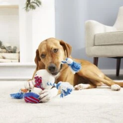 Frisco Holiday Snowman Plush With Rope Squeaky Dog Toy & Frisco Holiday Reindeer Plush With Rope Squeaky Dog Toy -Pet Dog Supplies Store 986174 PT4. AC SS1800 V1698258345