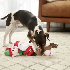 Frisco Holiday Santa's Helpers Plush Squeaky Dog Toy, 3 Count & Frisco Holiday Lights Plush With Rope Squeaky Dog Toy -Pet Dog Supplies Store 986206 PT4. AC SS1800 V1698257788