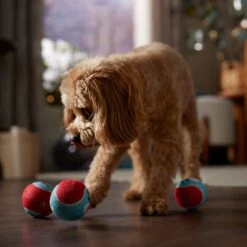 Frisco Holiday Ho Ho Ho Fetch Squeaky Tennis Ball Dog Toy & Frisco Holiday Arctic Friends Stuffing-Free Skinny Plush Squeaky Dog Toy -Pet Dog Supplies Store 986310 PT4. AC SS1800 V1698257790